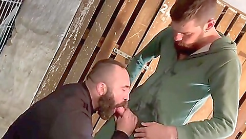 Crazy Adult Clip Gay Tattoo Incredible Will Enslaves Your Mind