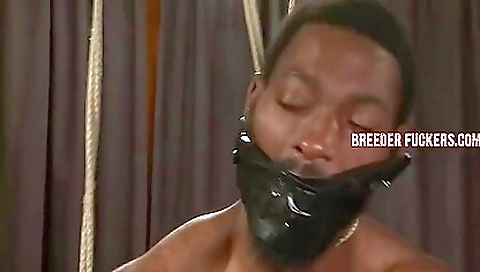 Tattooed black girl gets banged by a black dude and a black guy